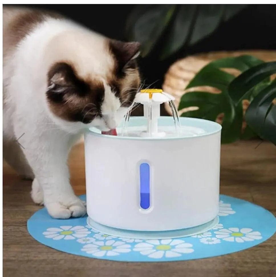 A cat drinking water from snuggle bug USB powered water fountain 