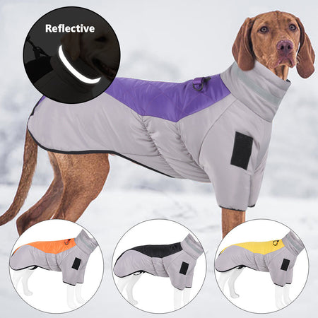 Dog wearing a thickened reflective pet cloth, designed for warmth and visibility in low-light conditions