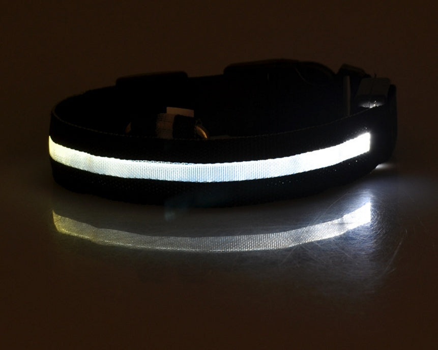 A display image of snugglebugsupply's Pet Luminous Glow collar and Leach