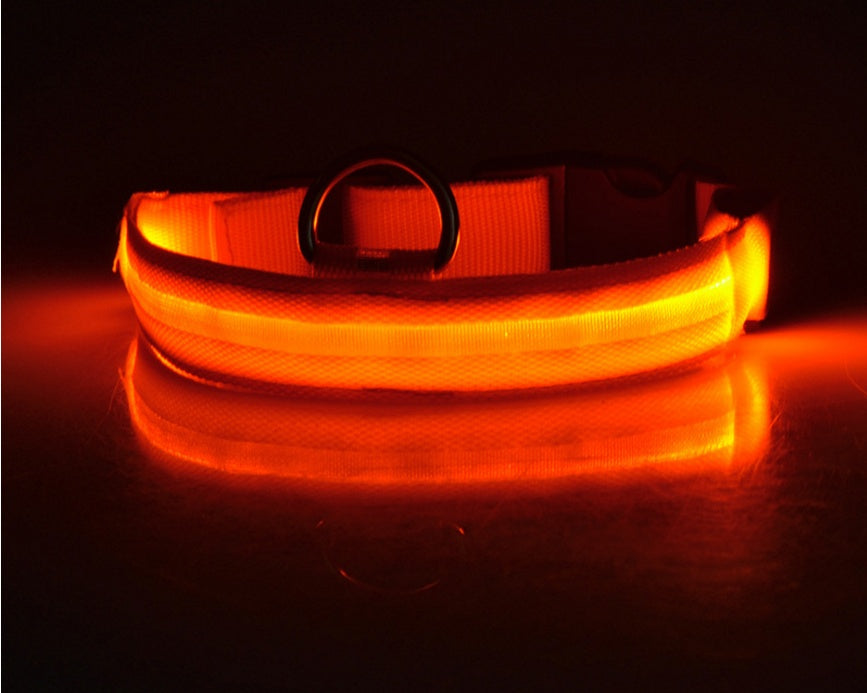 A display image of snugglebugsupply's Pet Luminous Glow collar and Leach