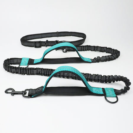 a display image of the snugglebugsupply's Running reflective dog leash