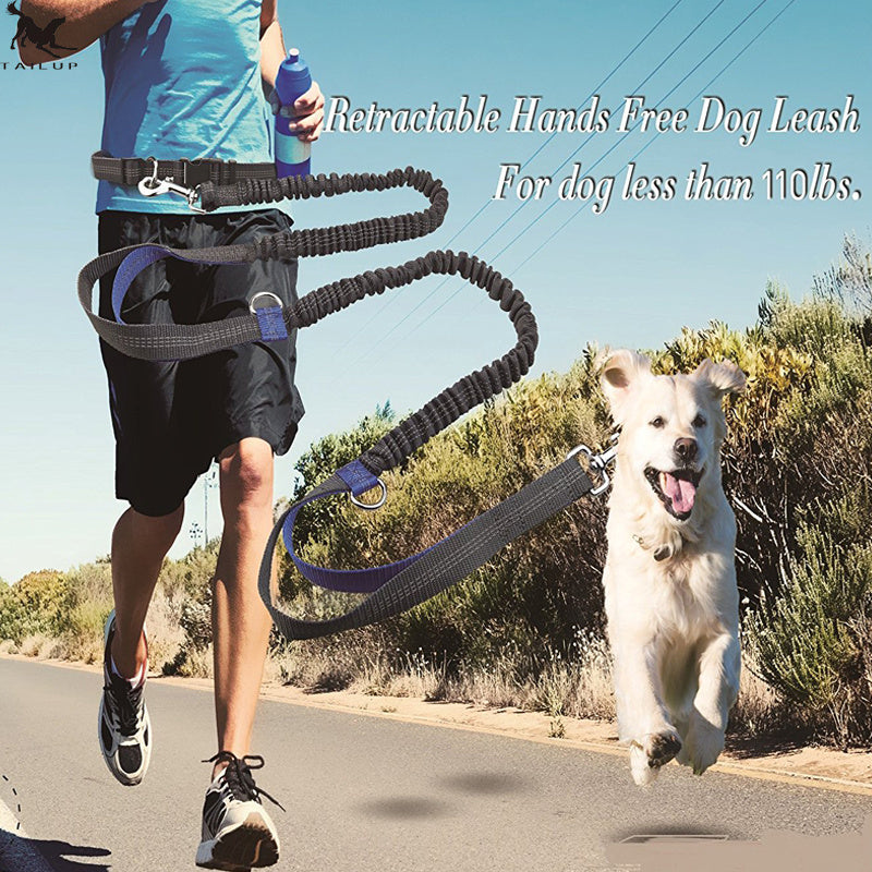 a pet owner using the snugglebugsupply's Running reflective dog leash while running 