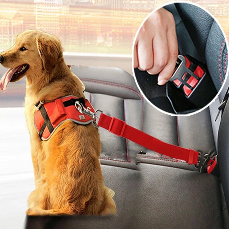 A dog using the Snugglebugsupply's Adjustable Pet Leash Vehicle Seat Belt product.