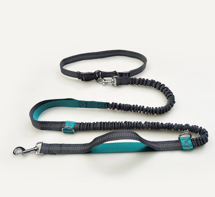 a display image of the snugglebugsupply's Running reflective dog leash