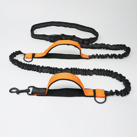 a display image of the snugglebugsupply's Running reflective dog leash