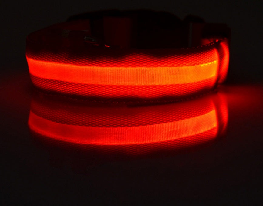 A display image of snugglebugsupply's Pet Luminous Glow collar and Leach