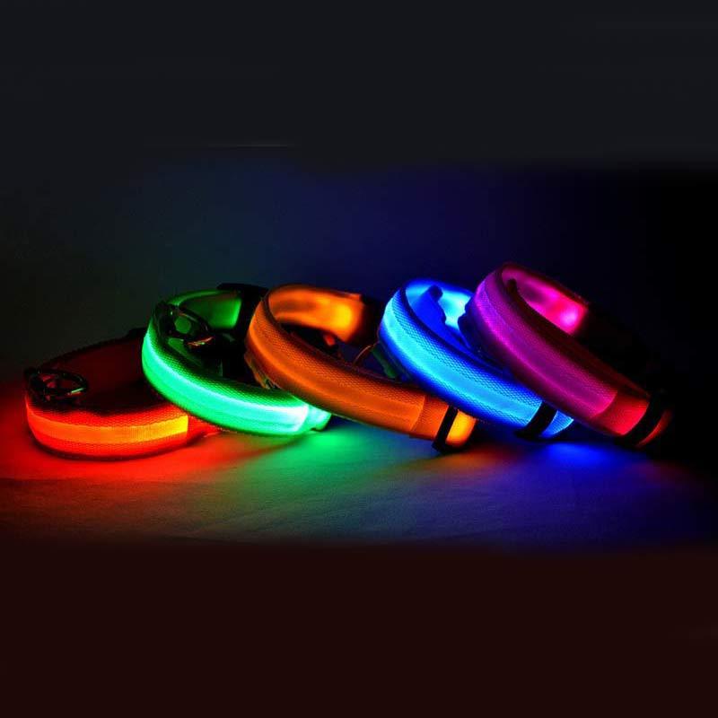 A display image of snugglebugsupply's Pet Luminous Glow collar and Leach