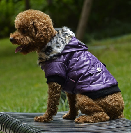 A display image of  a pet wearing Snugglebugsupply's Cross-border dog winter clothes, variant color: purple.