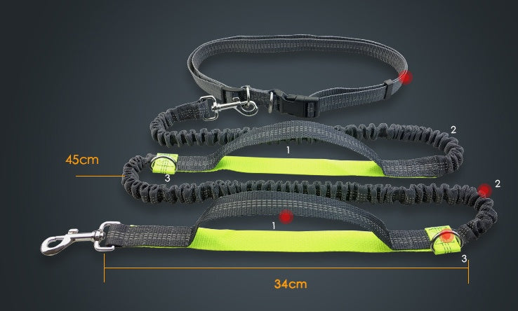 a descriptive image of the snugglebugsupply's Running reflective dog leash