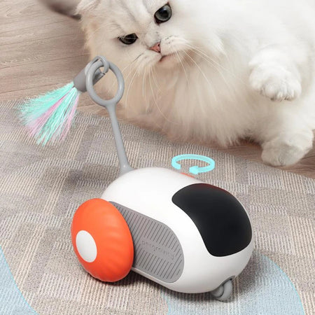 A display image of a pet playing with the snugglebugsupply's Pet Smart Remote Interactive Car Toy