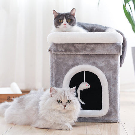 Two pets sitting around the Snugglebugsupply's Pet House Bed