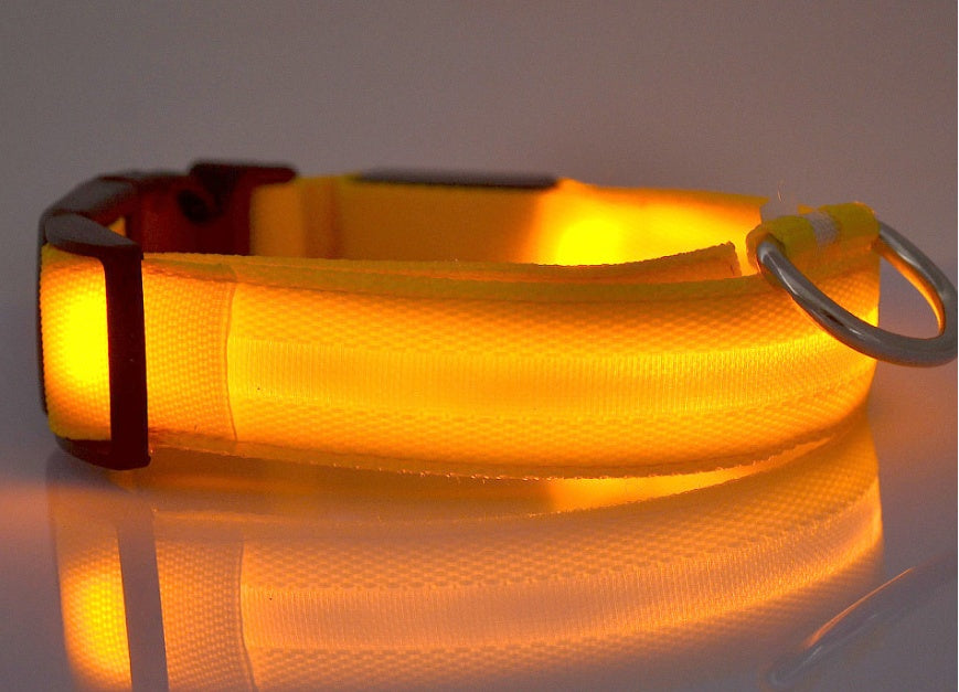 A display image of snugglebugsupply's Pet Luminous Glow collar and Leach