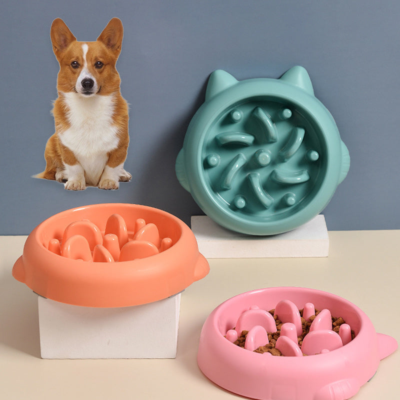 A display image of the Snugglebugsupply's Pet Bowl Slow Feeders while a dog is sitting above it.