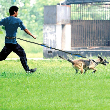 a pet owner using the snugglebugsupply's Running reflective dog leash while running 