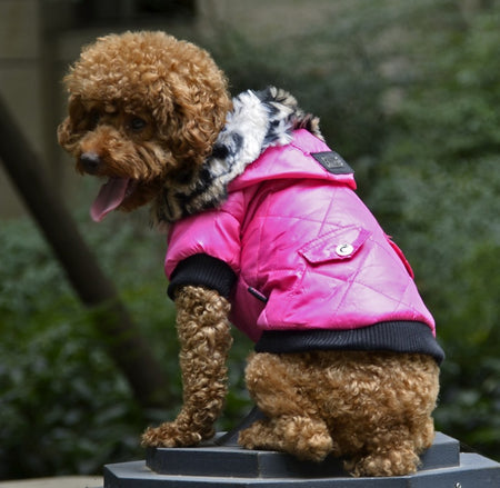 Stylish dog winter jacket with fur lining, perfect for outdoor walks in the snow