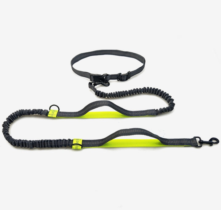 a display image of the snugglebugsupply's Running reflective dog leash