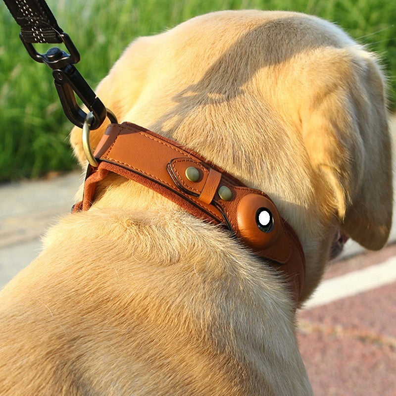 Close-up of a dog wearing the SnuggleBugSupply GPS collar, perfect for tracking pets during walks or outdoor activities