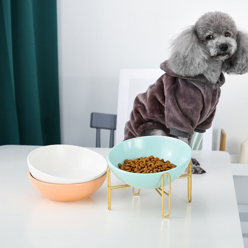 Stylish elevated cat bowl with a sturdy base, promoting better digestion for pets.