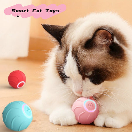 Pet happily playing with SnuggleBugSupply Bouncing Ball Interactive Pets Toy, designed for fun and active engagement.