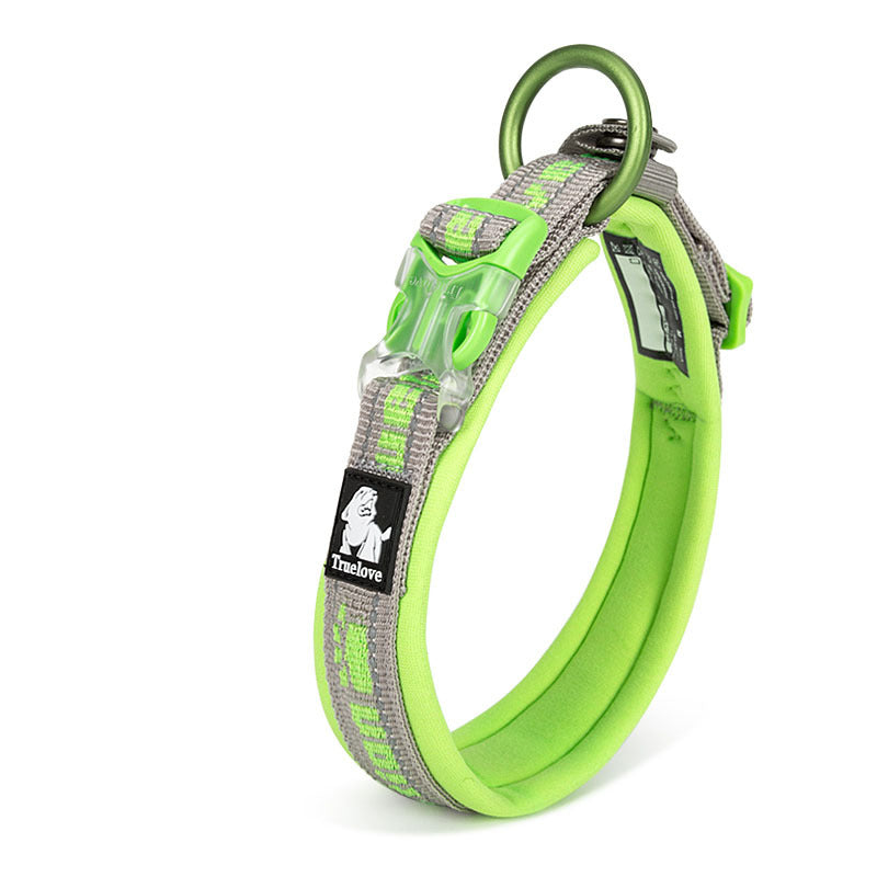 Pet using SnuggleBugSupply's Dog Training Collar, a durable and comfortable tool for positive reinforcement. Green