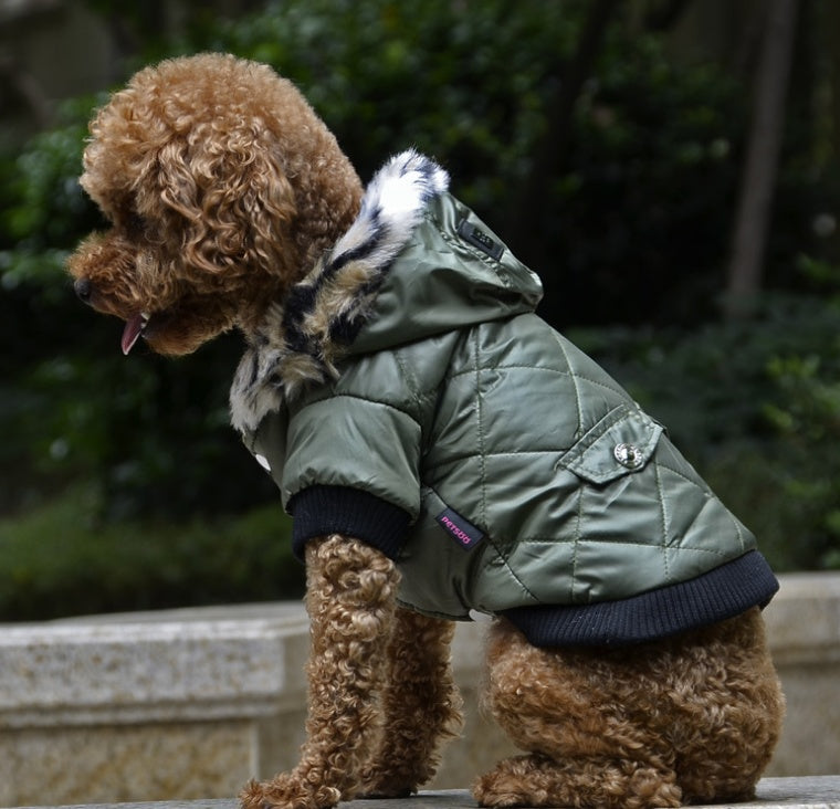 Small dog wearing a cozy winter coat, designed for warmth and comfort in cold weather.