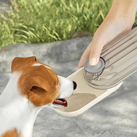 A pet drinking from the Snugglebugsuply pet water feeder 2 in 1 