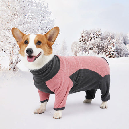 SnuggleBugSupply dog winter apparel, featuring a padded jacket for maximum warmth