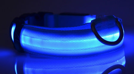 A display image of snugglebugsupply's Pet Luminous Glow collar and Leach