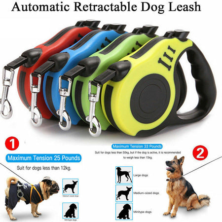 Pet enjoying outdoor play while using SnuggleBugSupply retractable leash, perfect for flexibility and convenience