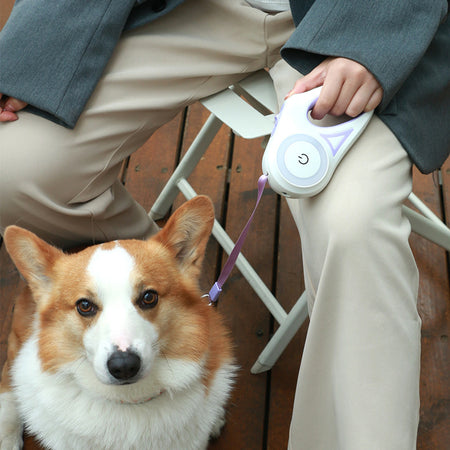 A display image of the Snugglebugsupply's Pet Automatic Retractable Leash being used for pet by a pet owner 