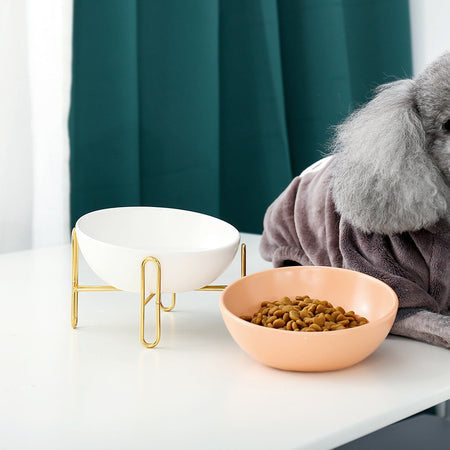 SnuggleBugSupply elevated dog bowl, perfect for comfortable and mess-free feeding.