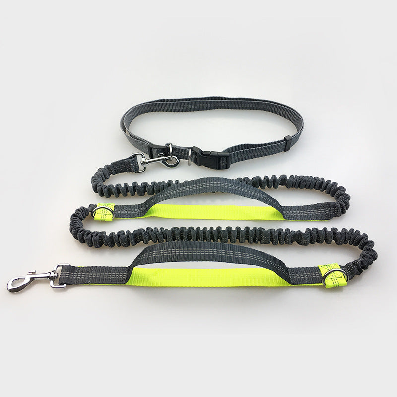 a display image of the snugglebugsupply's Running reflective dog leash