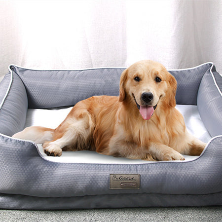 Dog sitting on SnuggleBugSupply's removable pet bed, showcasing a convenient and stylish design.