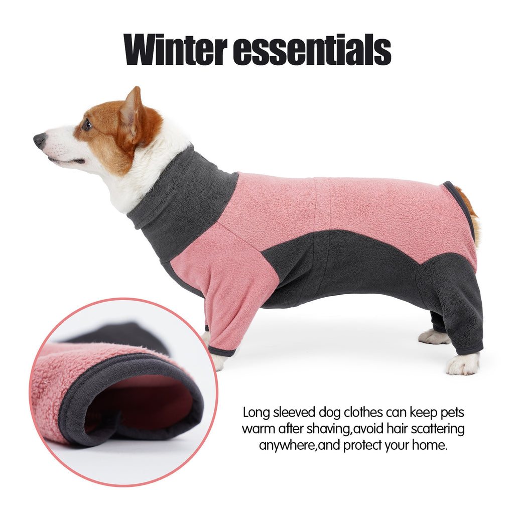 Dog sporting a fashionable winter vest, great for cold-weather outings