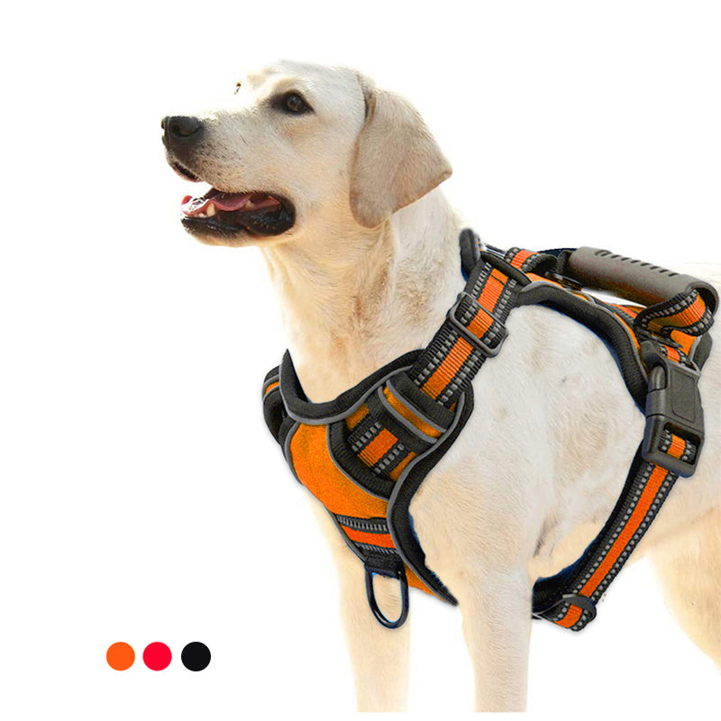 A image of a pet using Snugglebugsupply pet harness product. 