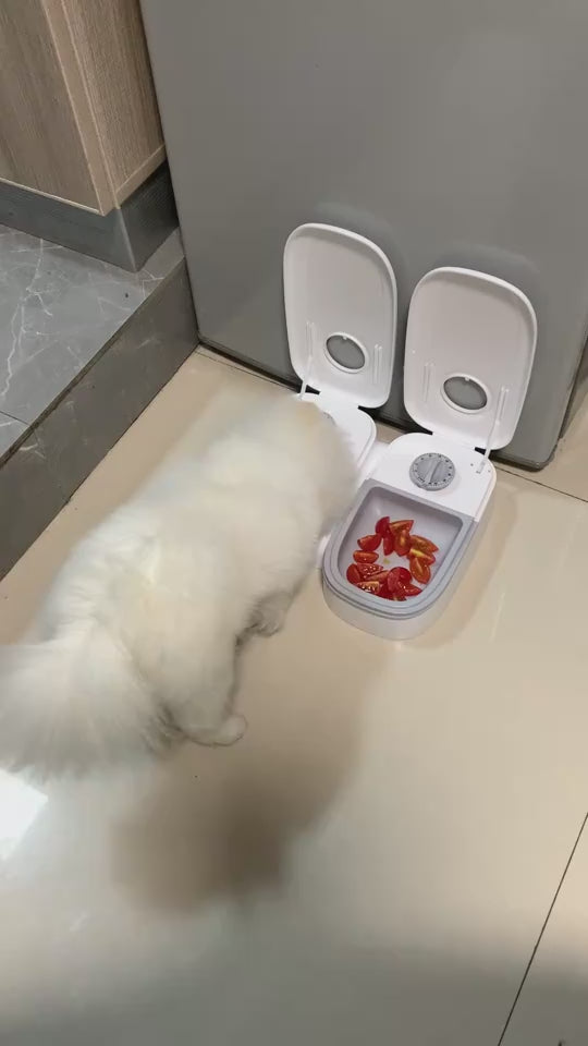 A video presentation of a pet feeding from the snugglebugsupply's Smart Automatic Pet Food Dispenser