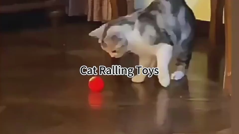 A video of pet playing with Snugglebugsupply Bouncing Ball Interactive Pets Toys product.