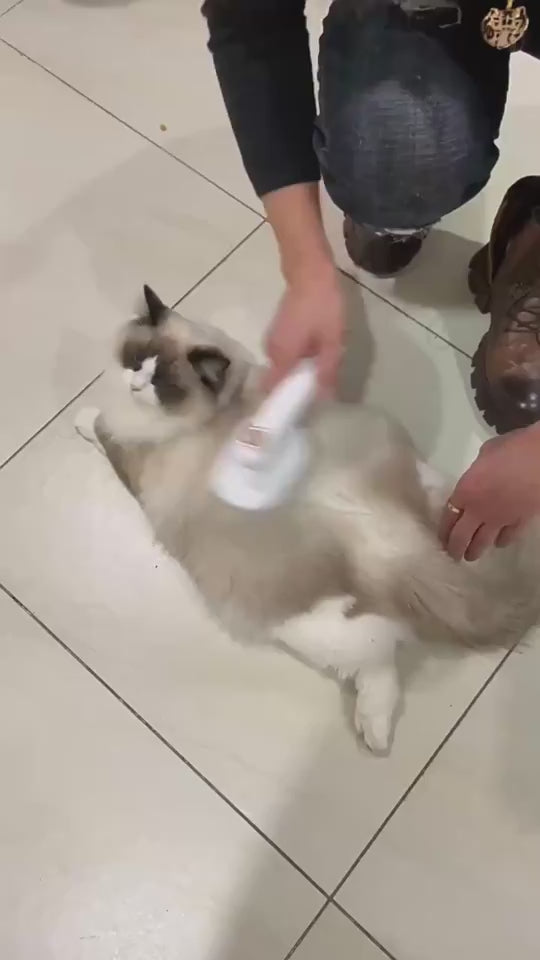 A video presentation of a pet owner using the Pet Hair Removal -  Pet Hair Brush 