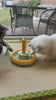 Cat playing with dual-purpose pet toy by SnuggleBugSupply, perfect for fun and stimulation.